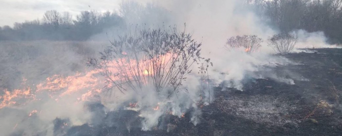 На Закарпатті за добу згоріли майже 64 гектари сухої трави та чагарників