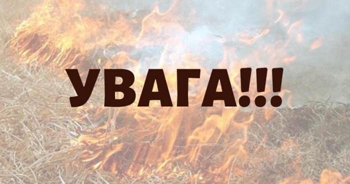 "Здай" палія: у громаді на Закарпатті платитимуть гроші за повідомлення про спалювання сухостою