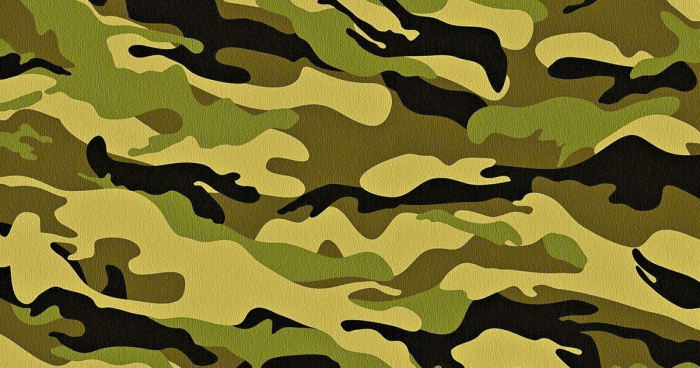 У Мукачеві за ухилення від мобілізації двоє чоловіків постануть перед судом