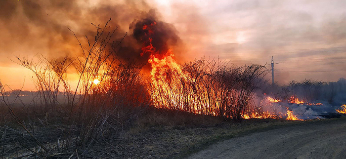 По 60-100 підпалів сухої трави щодня – закарпатці цьогоріч б’ють рекорди власної необачності