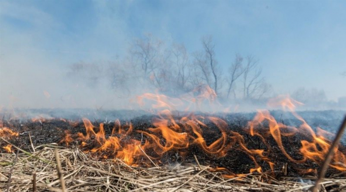 Закарпатців закликають не палити суху траву