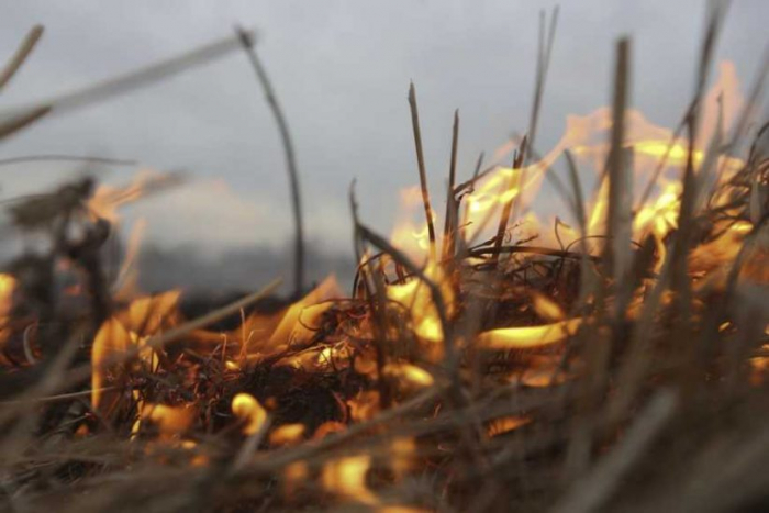 На Закарпатті через спалювання сухої трави загинули двоє людей