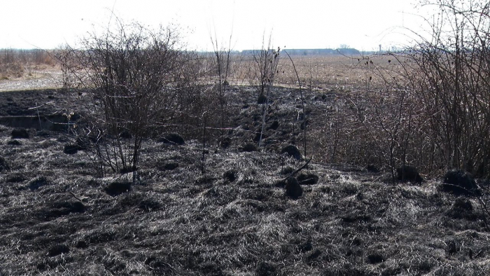 Мукачівські вогнеборці закликають не палити сухостій