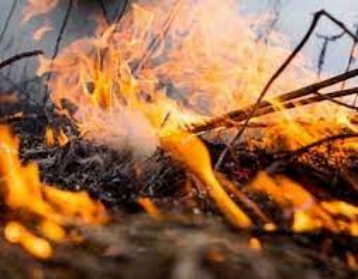 З початку березня вже 8 закарпатців померли через спалювання сухої рослинності (ВІДЕО)