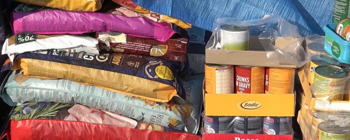 Волонтери ужгородського "Барбоса" відправили 65 тонн корму у регіони, де тривають бойові дії