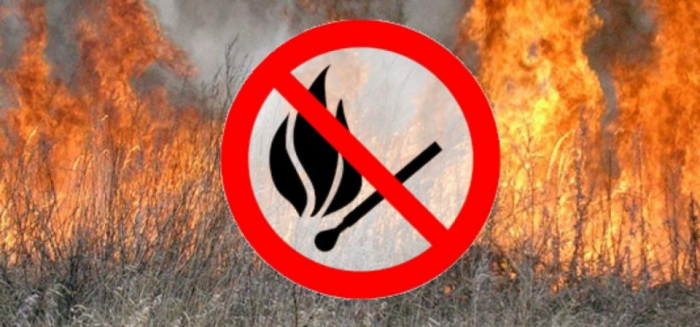 У Мукачеві чоловіка оштрафували за підпал трави, який спричинив пожежу на СТО