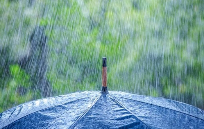На Закарпатті очікуються значні дощі та грози