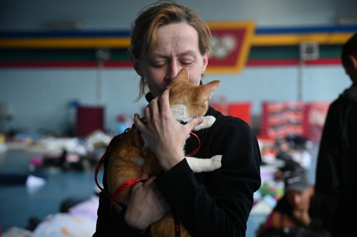 Понад 14 тисяч переселенців отримали виплати за спільною програмою Уряду, ООН та Закарпатської ОВА