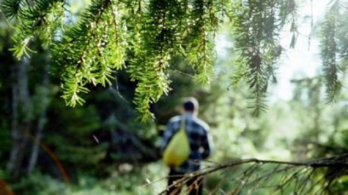 Мешканця Київщини, що заблукав на Закарпатті, знайшли на Прикарпатті з травмованими ногами