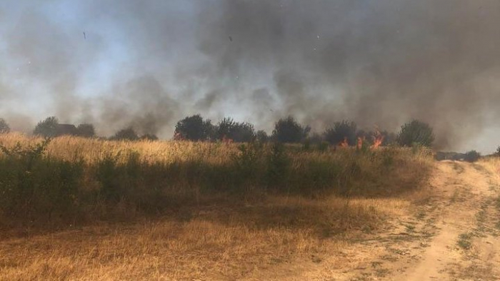 На Закарпатті за добу згоріли понад 40 гектарів сухої трави та чагарників
