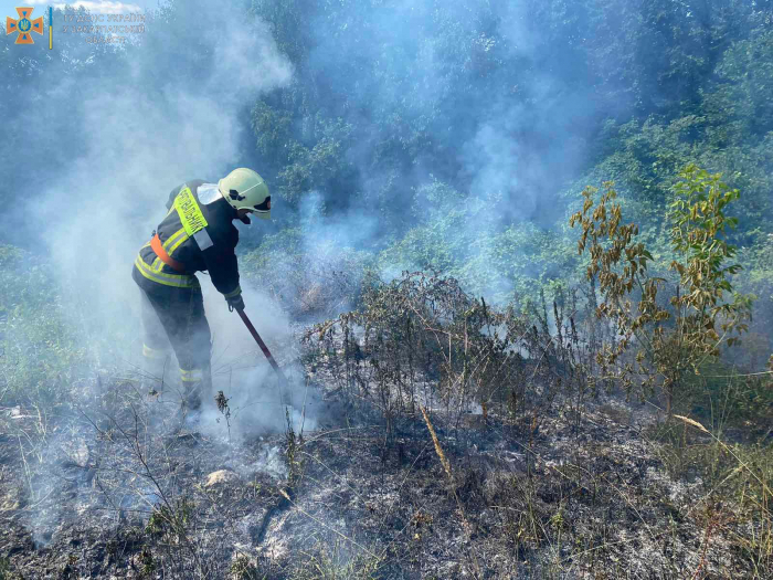 29 пожеж сухої рослинності, чагарників та сміття зафіксували на Закарпатті за минулу добу