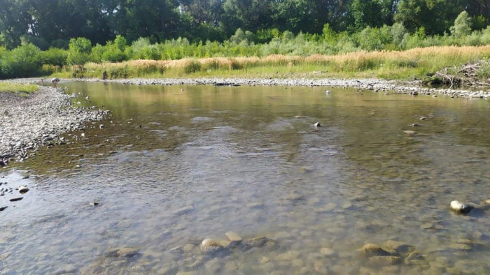На річках Закарпаття спостерігається низька водність