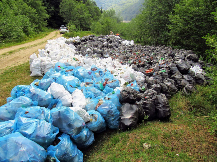 Кілька сотень мішків зі сміттям вивезли екоактивісти з Вільшанського водосховища