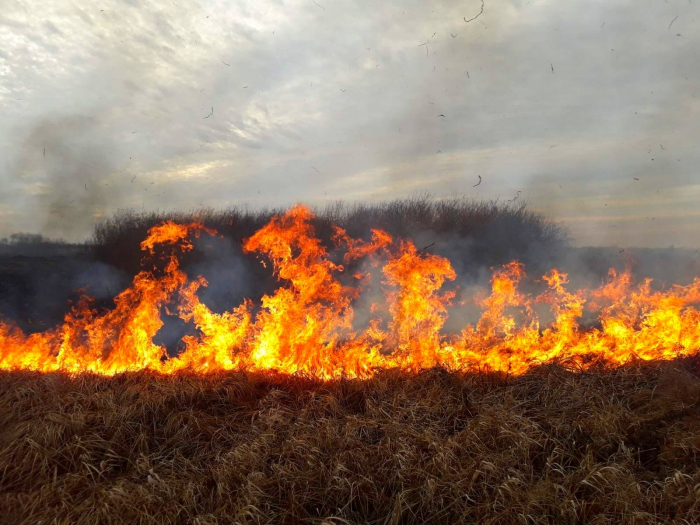 На Закарпатті за добу зафіксували 27 випадків загоряння сухої трави