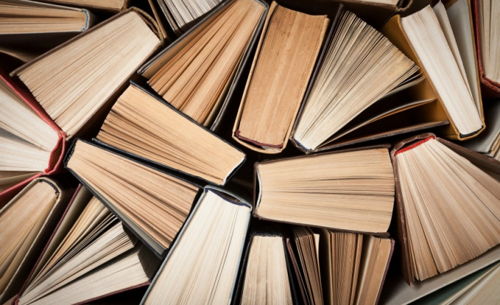 Бібліотеки Мукачева чистять від антиукраїнської літератури (ВІДЕО)