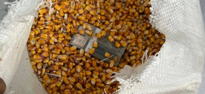 На Закарпатті прикордонники знайшли в мішках з насінням кукурудзи контрабандні сигарети (ФОТО)