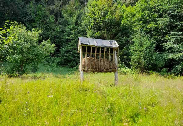 В нацпарку "Синевир" на Закарпатті завершують заготівлю кормової бази для дичини (ФОТО)