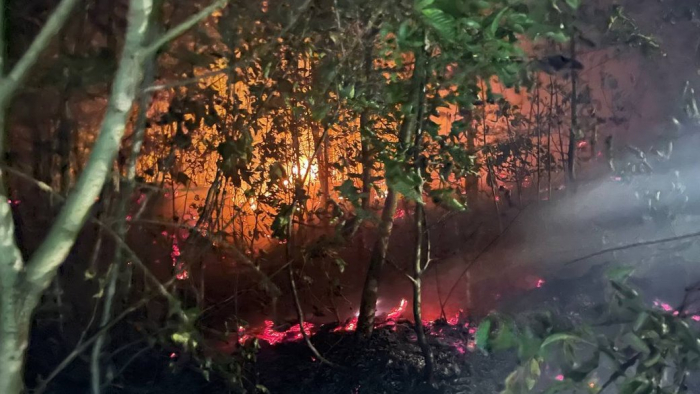 На Закарпатті понад добу триває ліквідація лісової пожежі. До гасіння залучили літаки та гелікоптери