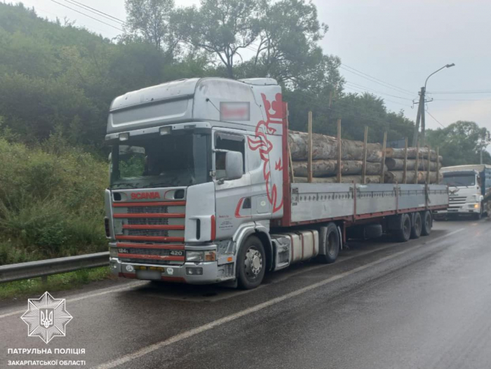 На Закарпатті виявили вантажівку з деревиною, документи на яку не відповідали дійсності