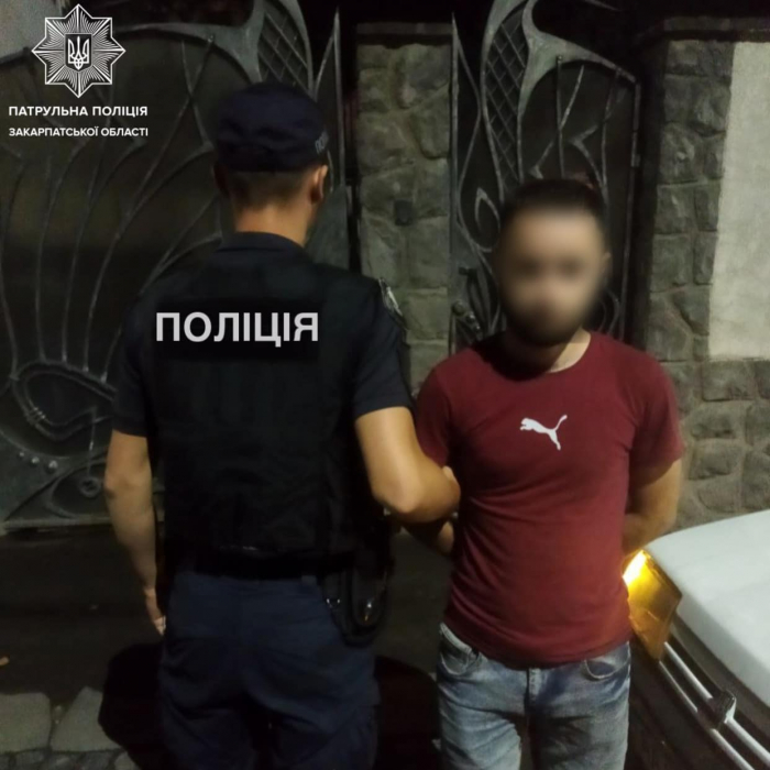 Закарпатські патрульні виявили у водія предмети, зовні схожі на зброю