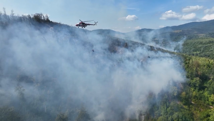 Наслідки масштабної пожежі: як працівники лісової охорони контролюють ліс на Ужгородщині (ВІДЕО)