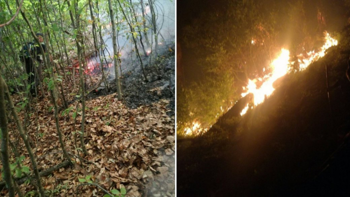 В екосистемах Закарпаття з початку року сталося понад дві тисячі пожеж