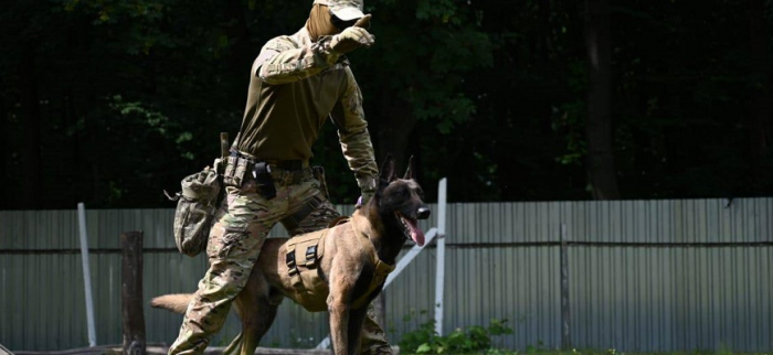 Арес: собака спеціального призначення – на службі в антитерористичному підрозділі Закарпаття (ФОТО)