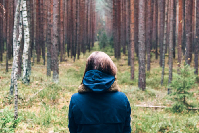 У лісі на Хустщині шукають жінку, яка пішла по гриби і зникла
