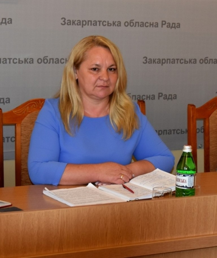 Закарпатські аудитори за вісім місяців 2022 року виявили порушень на суму 168,8 млн грн