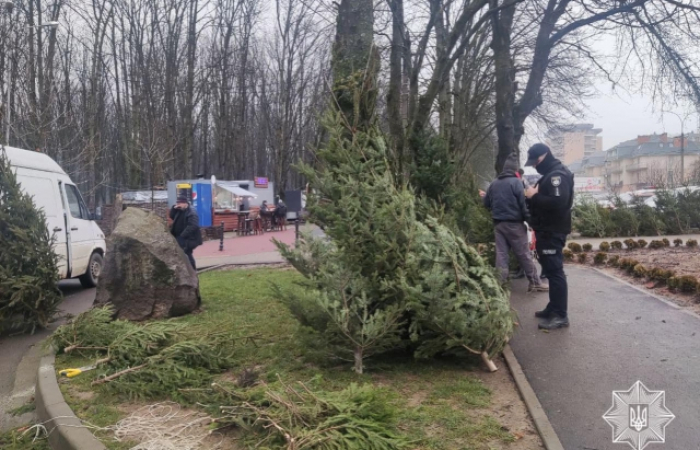 Закарпатські патрульні зафіксували порушення при торгівлі ялинками та продаж піротехніки