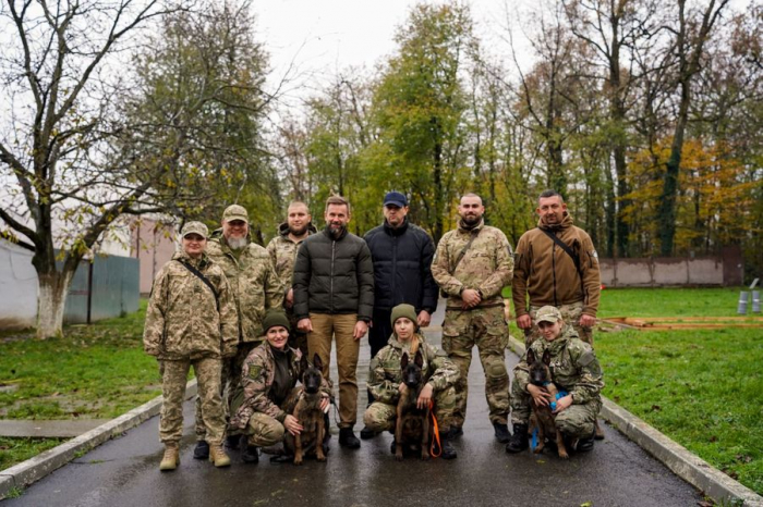Закарпатським ветеранам ЗСУ передадуть собак-терапевтів