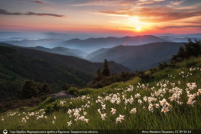 Міжнародний конкурс визначив 10 найкрасивіших фото природи зі всієї України
