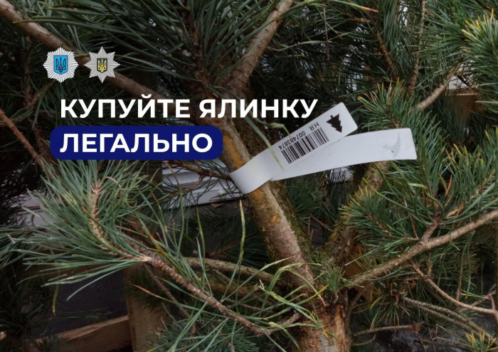 Купувати живі новорічні дерева варто лише на офіційних ярмарках — поліція Закарпаття
