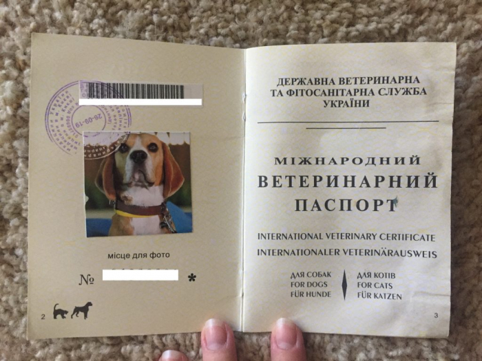 У "Дії" з'являться електронні ветеринарні паспорти домашніх тварин