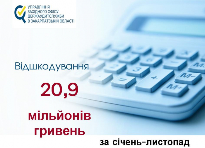 Майже 21 млн грн відшкодували до бюджету за неповний 2023-й завдяки закарпатським аудиторам