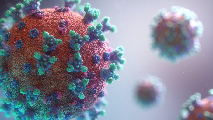 На Закарпатті виявили новий штам коронавірусу