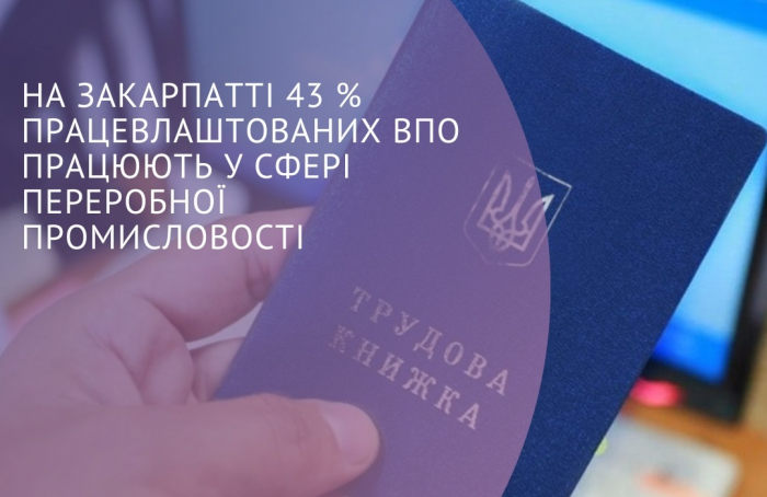 На Закарпатті 43% працевлаштованих переселенців працюють у сфері переробної промисловості