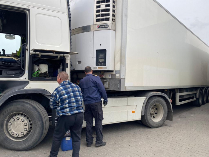 Закарпатські митники не дозволили вивезти лісоматеріали та напівпричіп з перебитими номерами