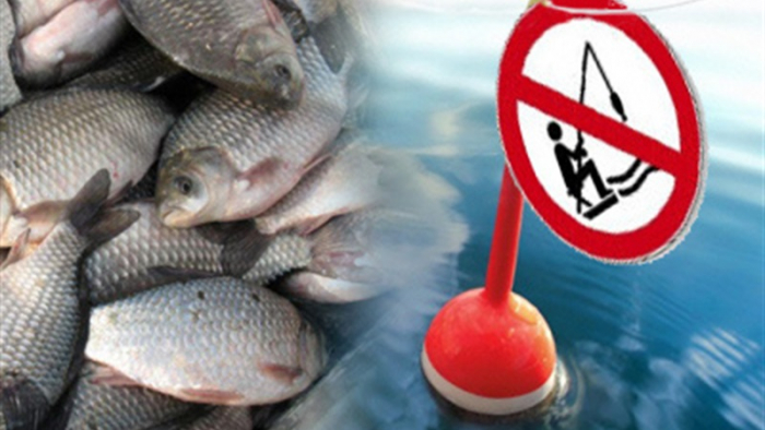 На Закарпатті з 1 квітня – весняно-літня нерестова заборона вилову риби