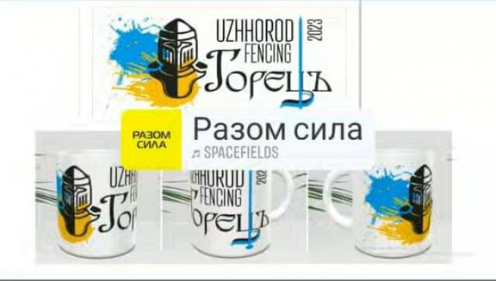 В Ужгороді відбудеться Закарпатський етап Всеукраїнського турніру  «Дитяча Ліга В.В. Миронюка» з фехтування на шпагах