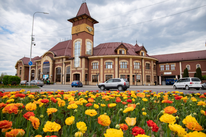 В Ужгороді розквітло понад 40 тисяч тюльпанів