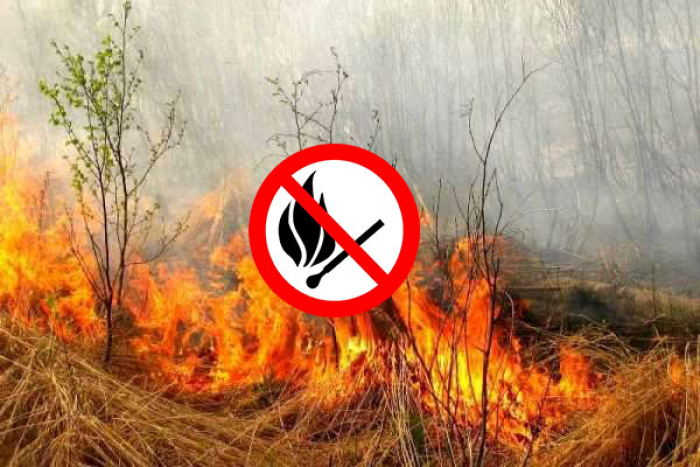 За добу на Закарпатті зафіксували 17 випадків загоряння сухої трави