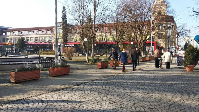 У Берегові на Закарпатті три вулиці перейменували на честь українських військових