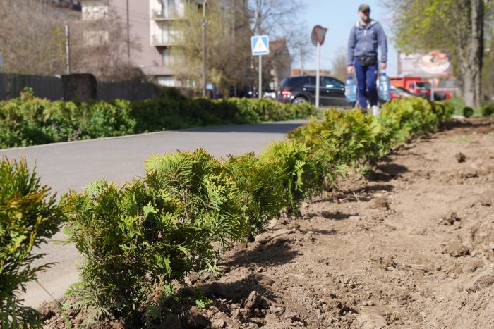 Голова Закарпатської ОВА відзначив тревел-блогерів за активну промоцію туристичного потенціалу