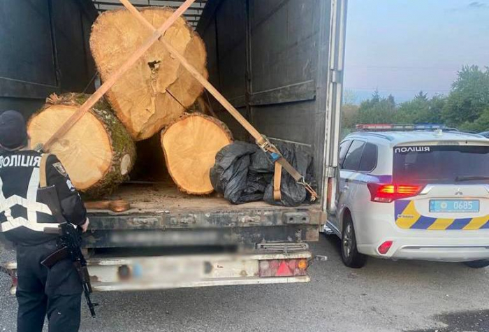 У Виноградові затримали вантажівку з нелегальною деревиною (ФОТО)