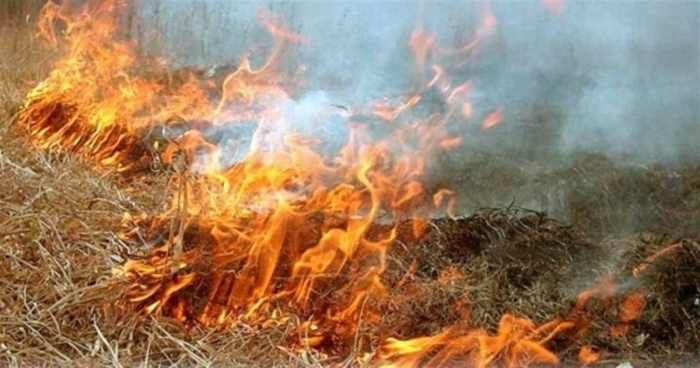 В екосистемах Закарпаття ліквідували 59 пожеж