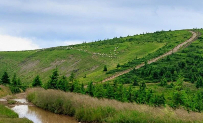 Голови двох закарпатських громад просять обладміністрацію надати громадам право бути замовниками курорту "Свидовець"