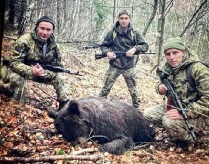 Історія про знайдене ведмежа на Закарпатті має сумне продовження (ФОТО)