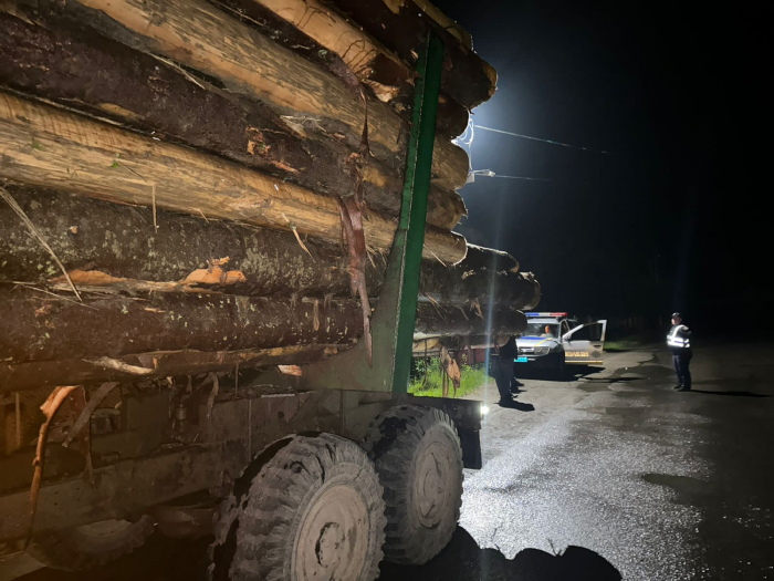 На Тячівщині затримала вантажівку з нелегальною деревиною (ФОТО)