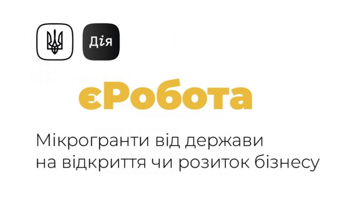 На Закарпатті на реалізацію проєкту "єРобота: Власна справа" спрямовано вже 5,5 млн грн